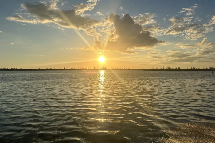 Private Sunset Tours - Southwest Florida