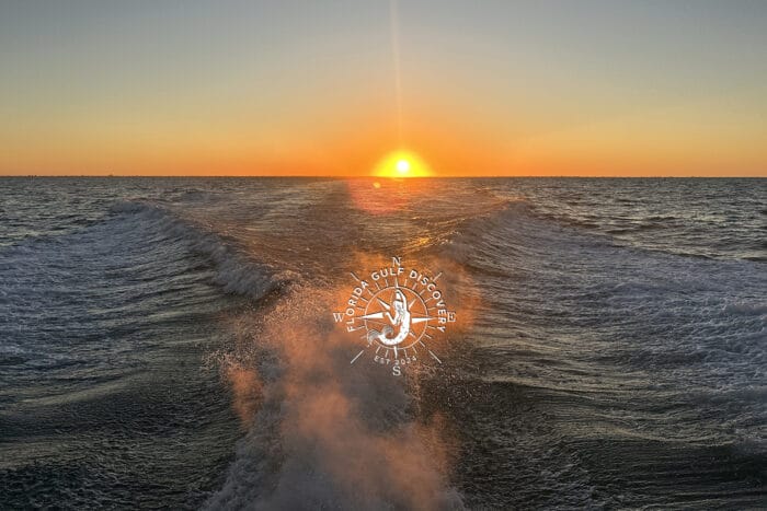 Where the Sun Meets the Gulf of America, Florida Gulf Discovery LLC