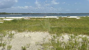 Cayo Costa Lagoon at Boca Grande Pass, Florida Gulf Discovery LLC