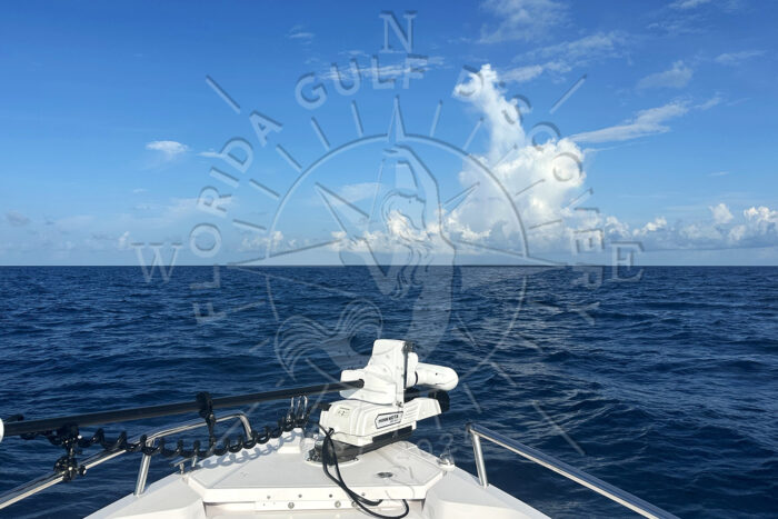 Gulf of America, Florida Gulf Discovery LLC