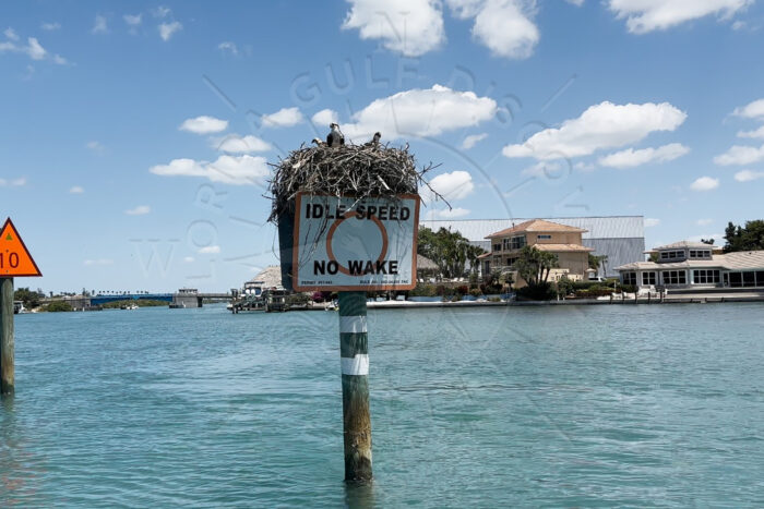 Osprey at Marker 10 IDLE SPEED Intrcoastle Waterways Florida Gulf Discovery LLC Osprey at Marker 10 IDLE SPEED Intercoastal Waterways Florida Gulf Discovery LLC