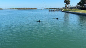 Lemon Bay West site housing, Dolphin Site