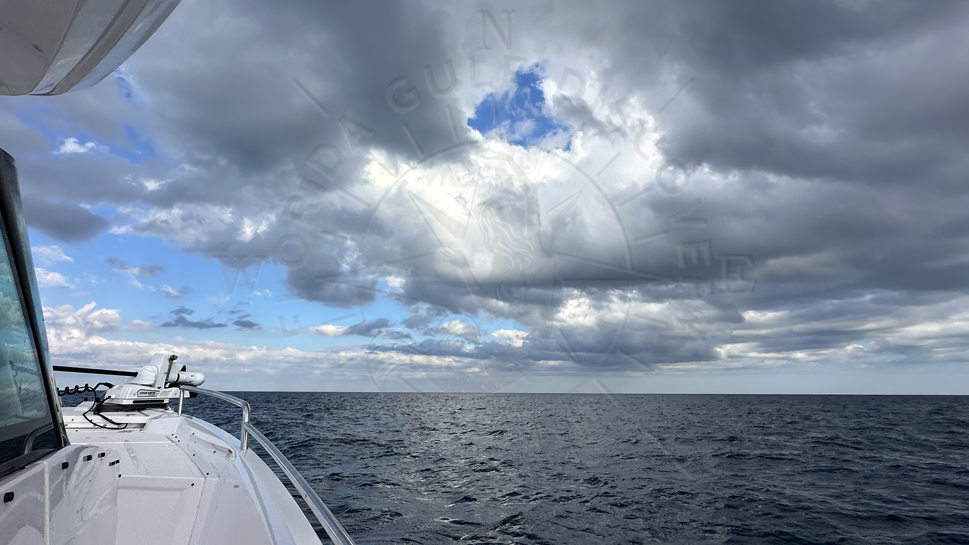 A Hole in the Sky, Offshore Meditation with 11ft Nurse Shark & 27 in Grouper, Florida Gulf Discovery LLC