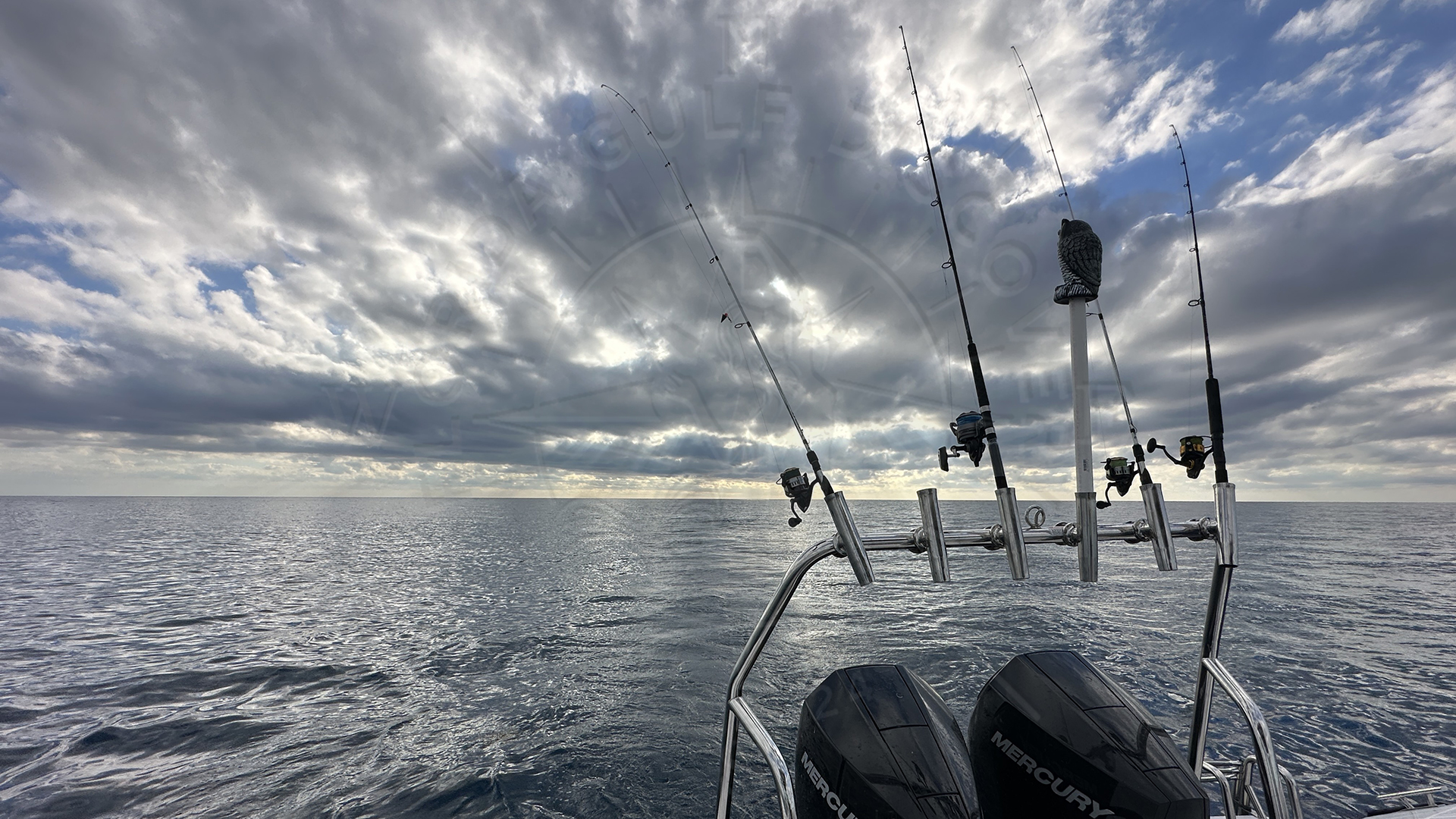 Before Sunset, Offshore Meditation with 11ft Nurse Shark & 27 in Grouper, Florida Gulf Discovery LLC