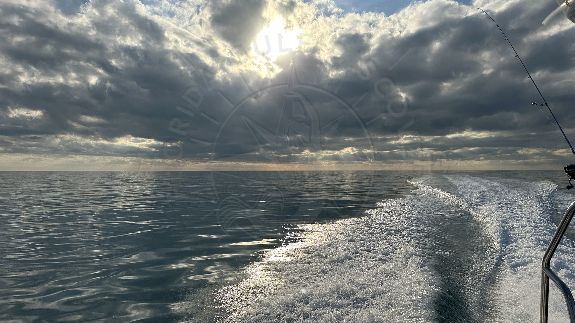 Before Sunset, Offshore Meditation with 11ft Nurse Shark & 27 in Grouper, Florida Gulf Discovery LLC