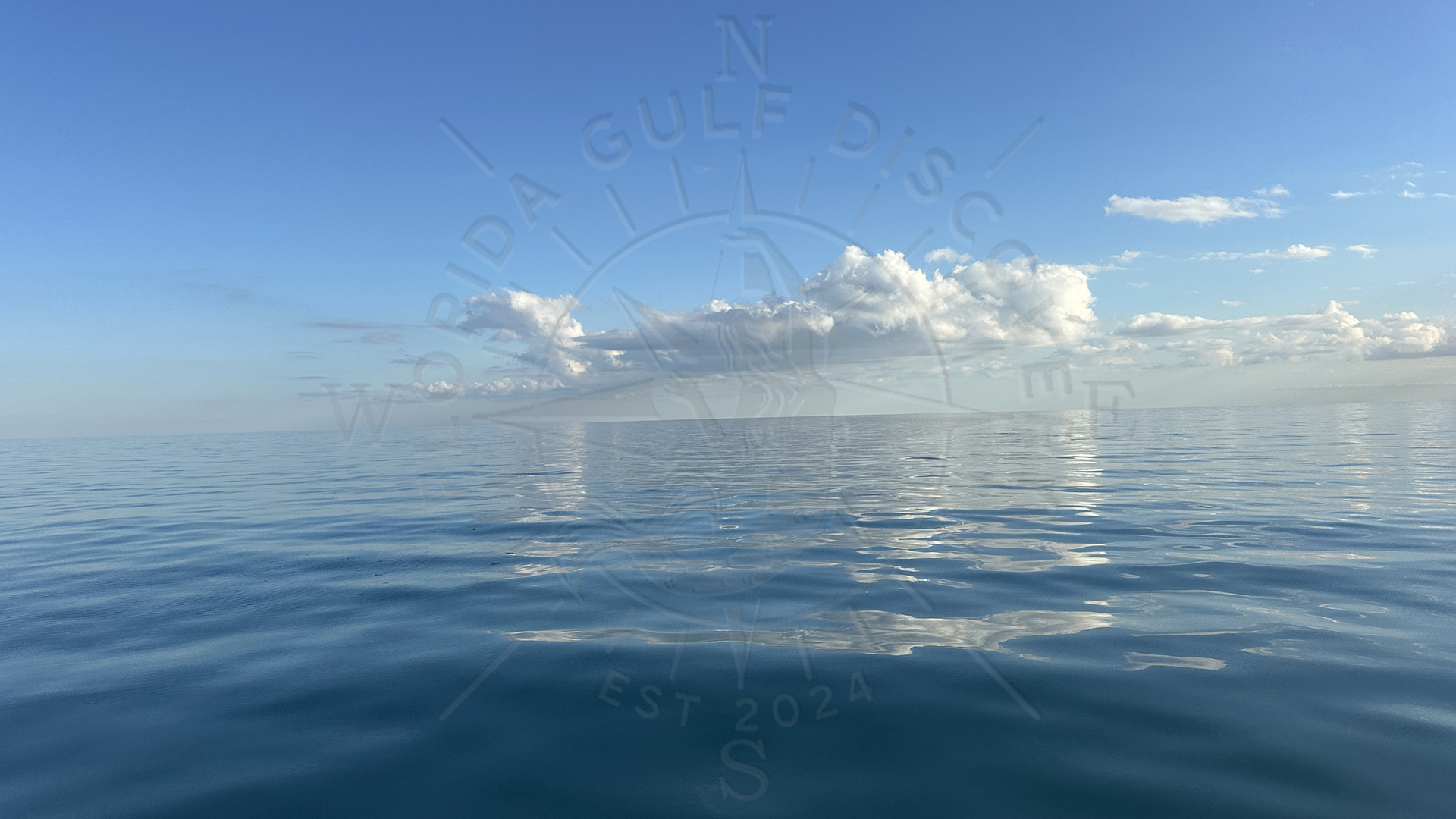 Before Sunset, Offshore Meditation with 11ft Nurse Shark & 27 in Grouper, Florida Gulf Discovery LLC
