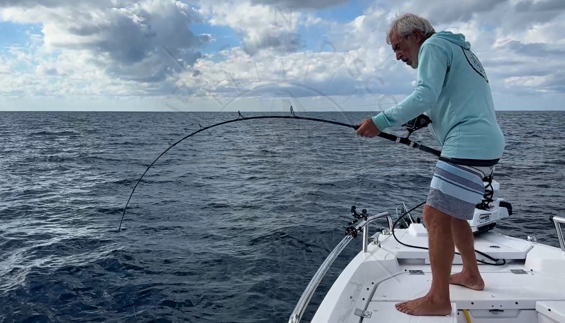 Captain Pavel with Nurse Shark 11ft, Florida Gulf Discovery LLC