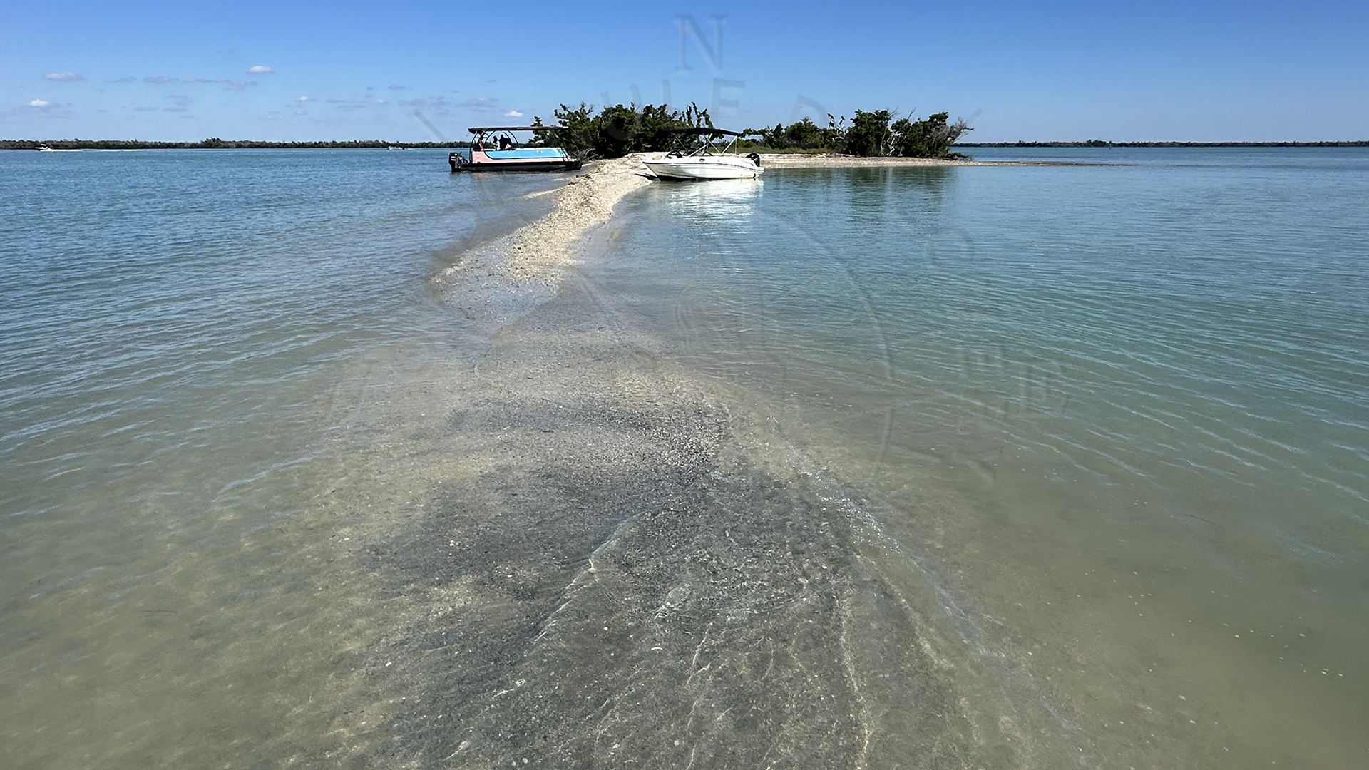 Dog Island, Day trip, Florida Gulf Discovery LLC