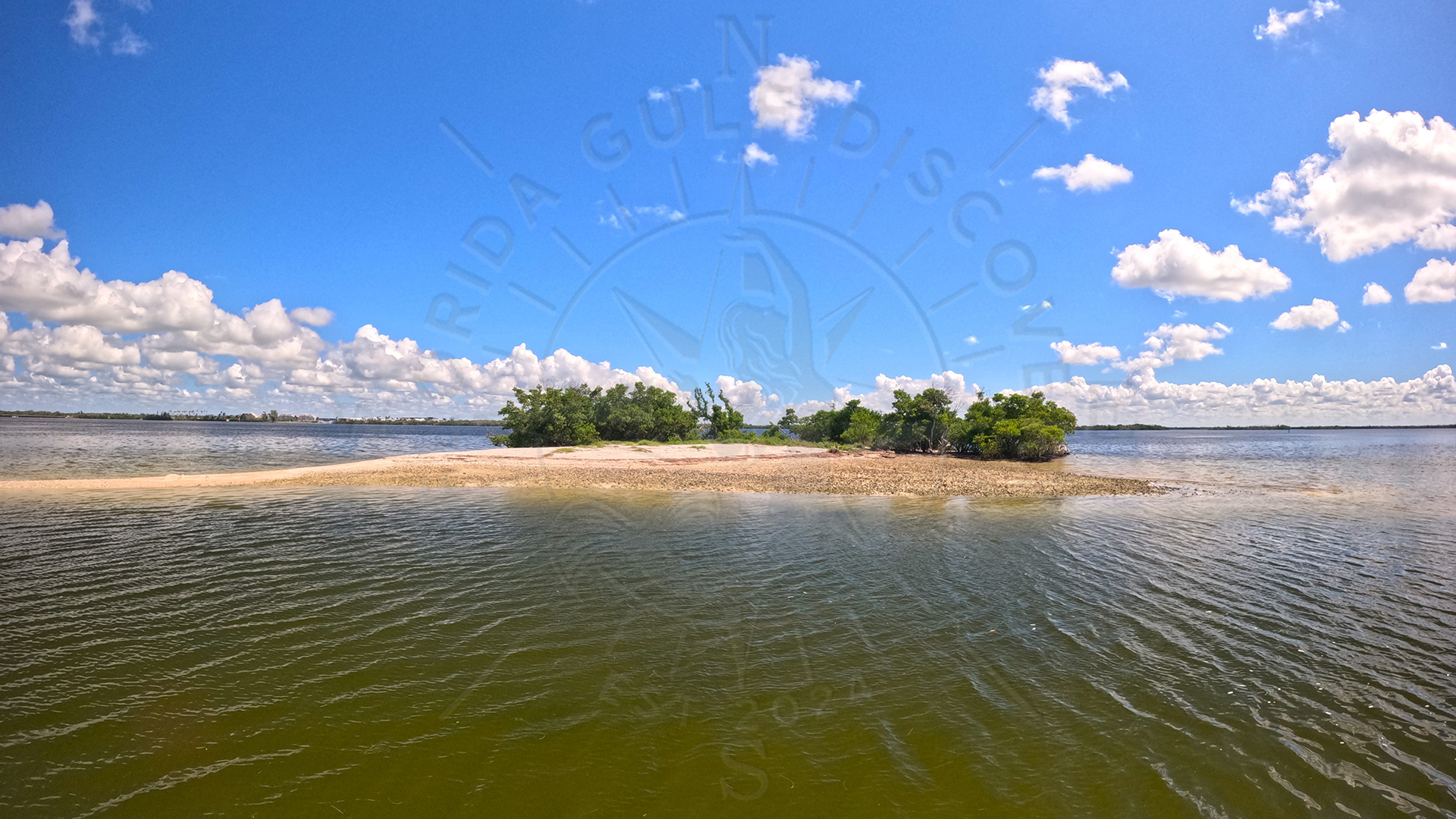 Dog Island shell shoreline in Gasparilla Sound, Florida Gulf Discovery LLC