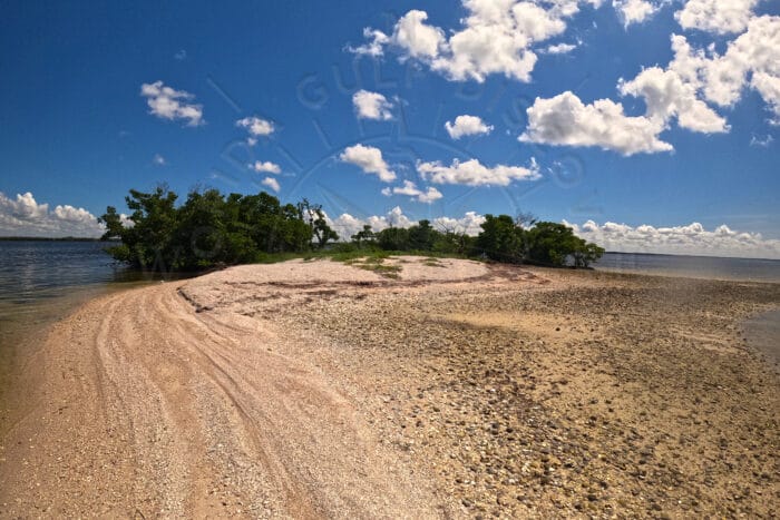 Dog Island - Shell Island, Florida Gulf Discovery LLC Dog Island - Shell Island, Florida Gulf Discovery LLC