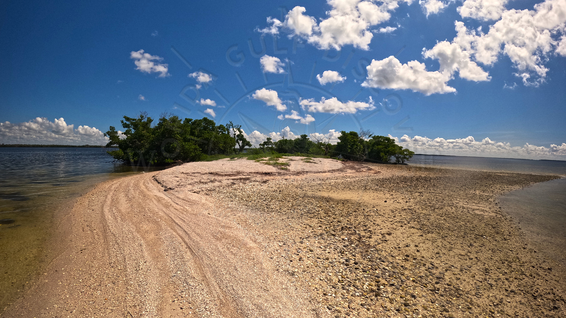 Dog Island - Shell Island, Florida Gulf Discovery LLC