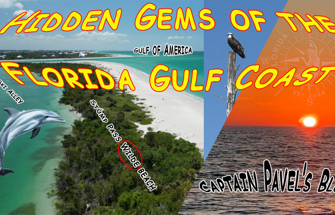 Hidden Gems of the SW Florida Gulf, Florida Gulf Discovery LLC