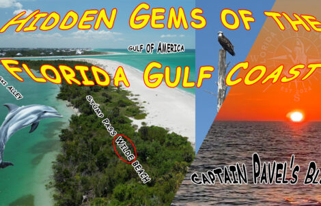 Hidden Gems of the SW Florida Gulf, Florida Gulf Discovery LLC