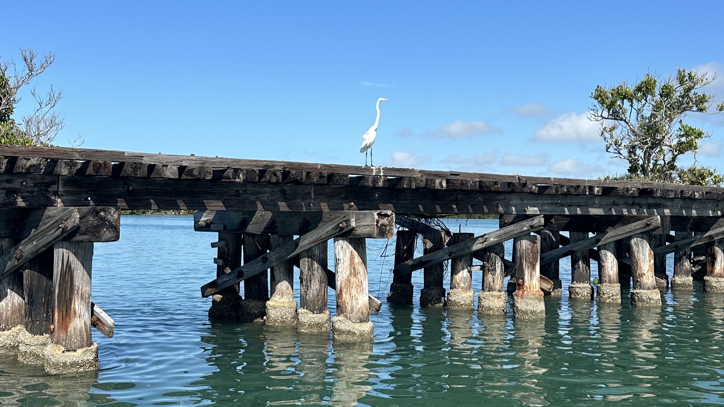 Historical Placida Trestle, Florida Gulf Discovery LLC