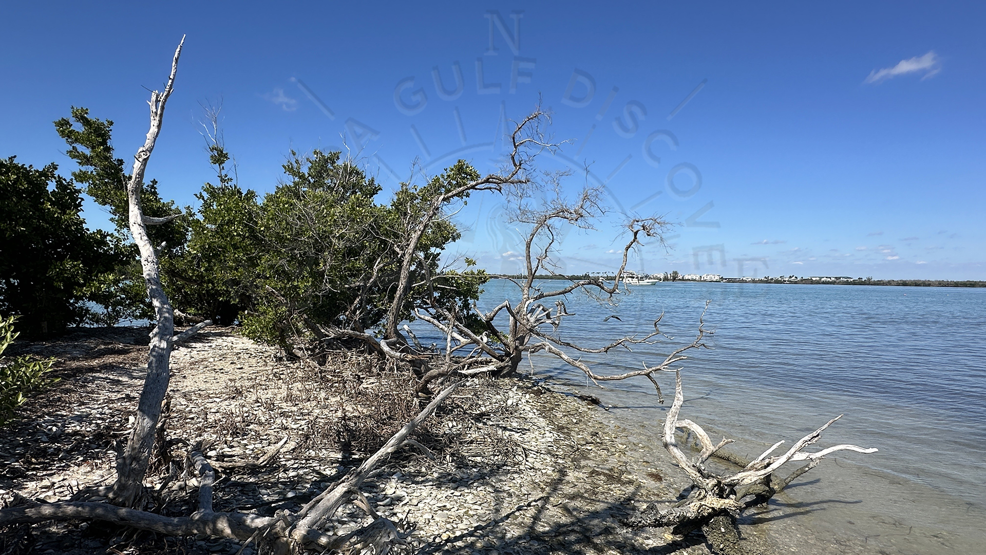 Dog Island North Side, Florida Gulf Discovery LLC