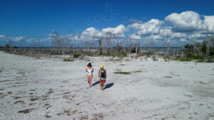 North Captiva Gulf Beach, with Florida Gulf Discovery LLC