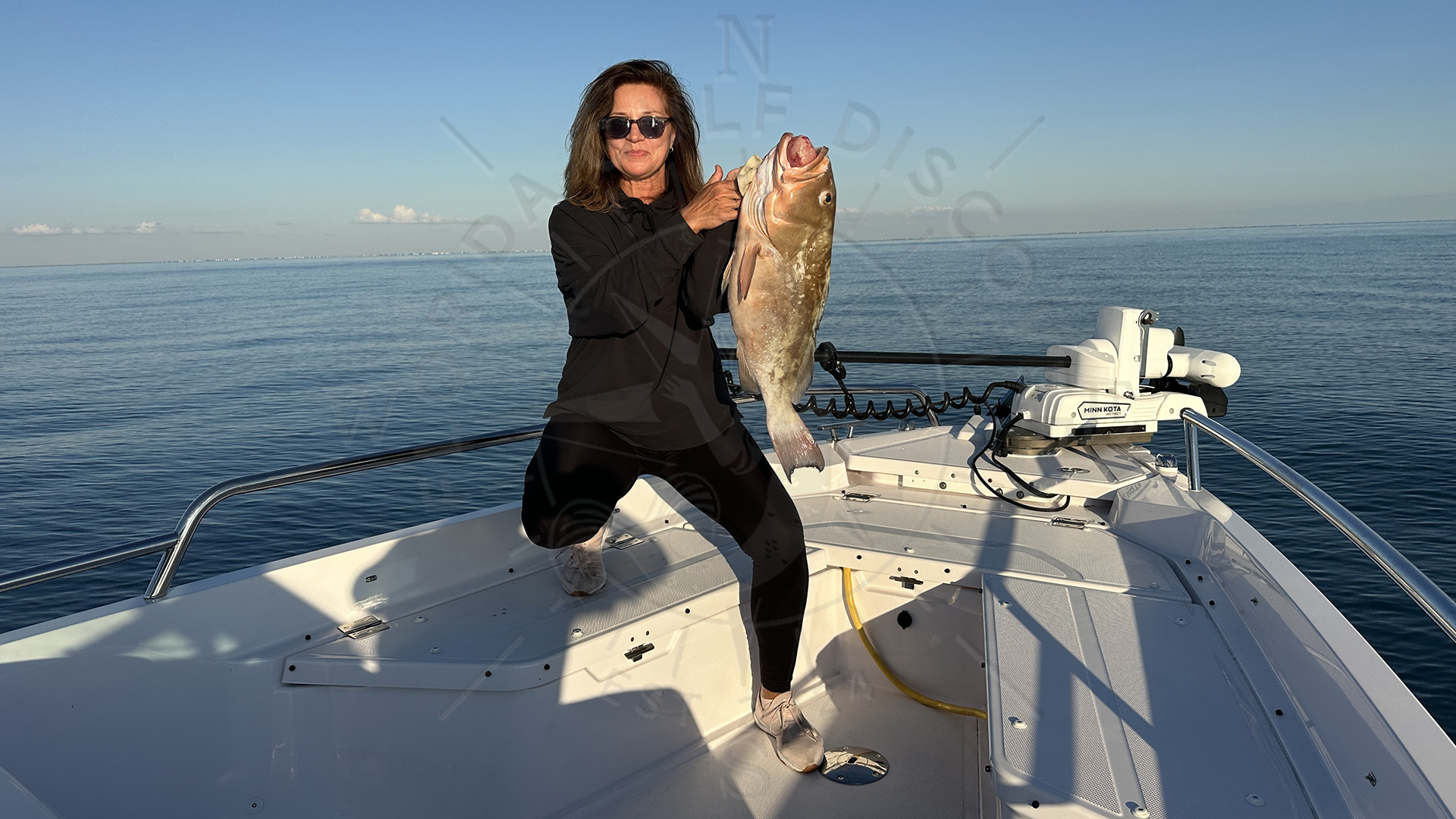 Olena with 27 in Grouper, Offshore Meditation with 11ft Nurse Shark & 27 in Grouper, Florida Gulf Discovery LLC