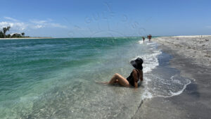 Stump Pass Beach State Park. End of the Land, 2024, Florida Gulf Discovery LLC