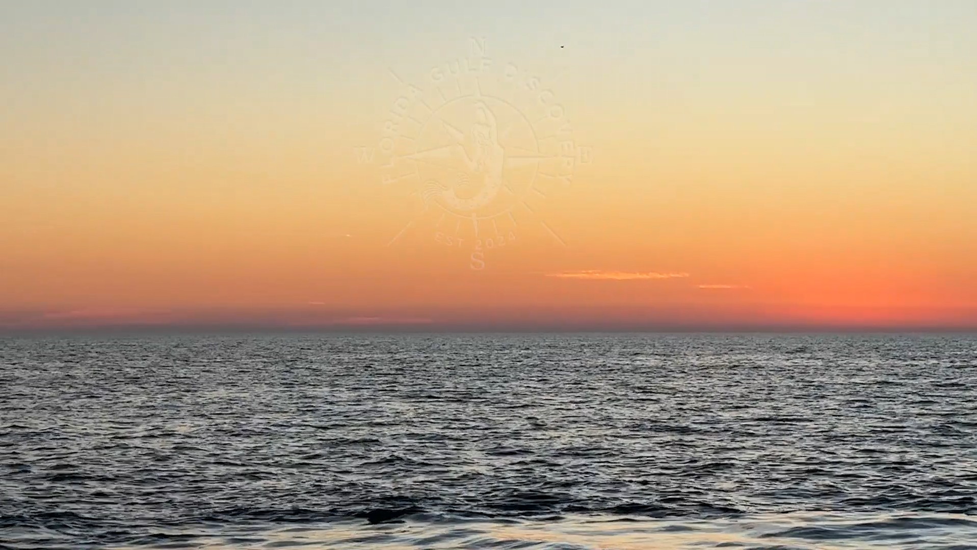 Sunset Tour at Gasparilla Pass with Florida Gulf Discovery LLC