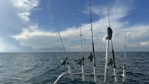 The Gulf of America, Florida Gulf Discovery LLC
