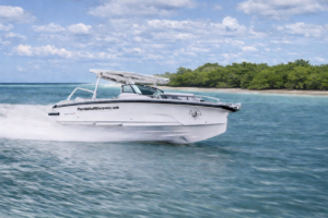 Dolphin Private Boat Tours with Florida Gulf Discovery LLC