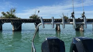 Osprey at Historical Boca Trestle with Florida Gulf Discovery LLC