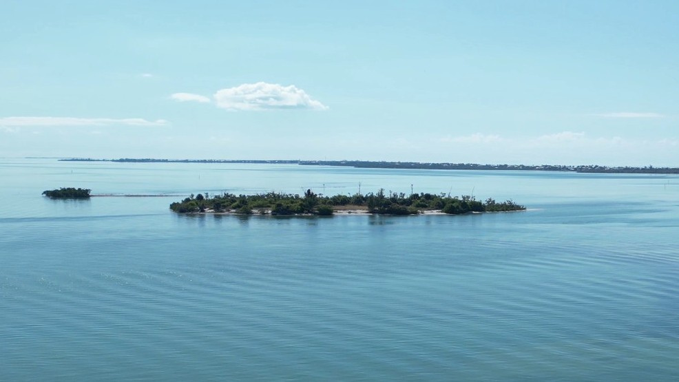 Explore Pristine Shell Island with Florida Gulf Discovery LLC