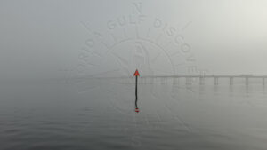 Foggy Morning @ Peace River Marker 12 near I-75, Florida Gulf Discovery LLC