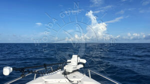 Burial at Sea ceremony in Southwest Florida with Florida Gulf Discovery LLC