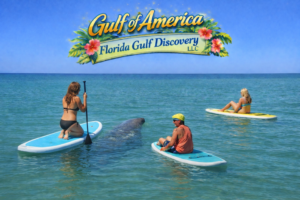 Gulf of America, Manatee with Florida Gulf Discovery LLC