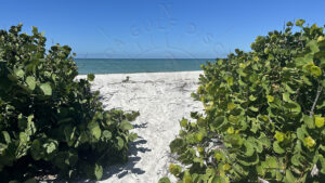 Hidden beach and Island, Romantic Private Boat Tours, with Florida Gulf Discovery LLC