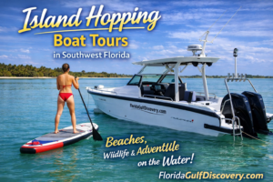 Island Hopping Boat Tours in Southwest Florida, Boca Grande, with Florida Gulf Discovery LLC