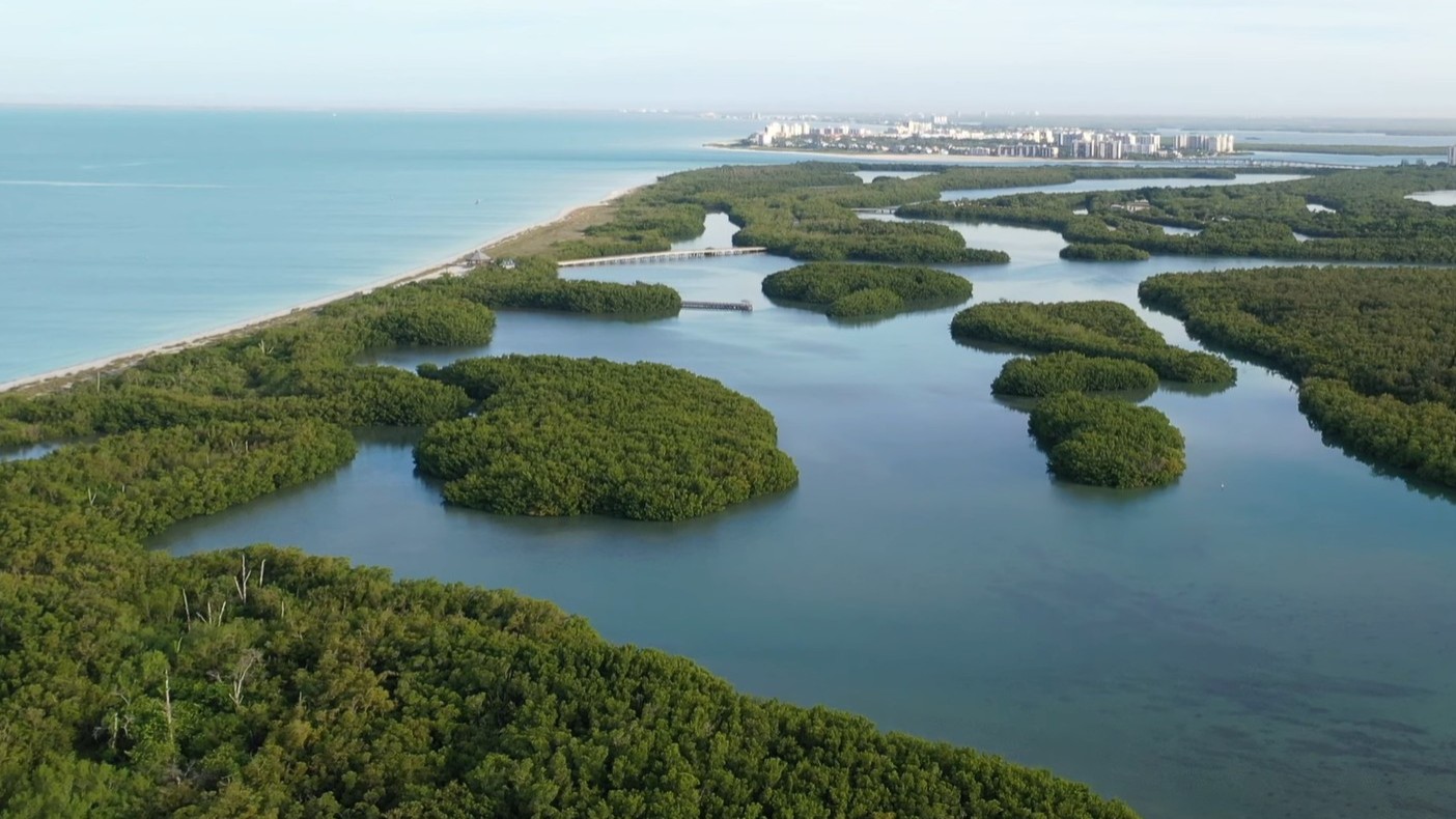 Lovers Key State Park with Florida Gulf Discovery LLC