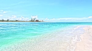 Manasota Key Boat Tours , Stump Pass with Florida Gulf Discovery LLC