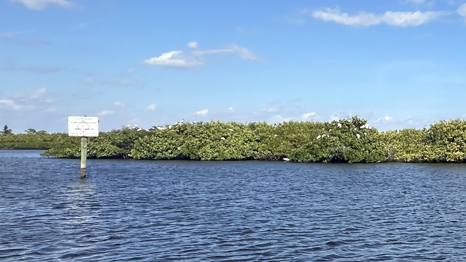 Myakka River Rookery Island. Boat Tours & Trips, Florida Gulf Discovery LLC