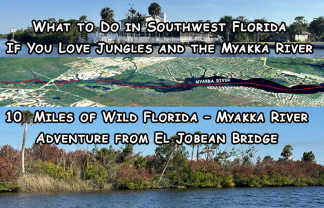 Myakka River, Trip 10mi, Florida Gulf Discovery LLC