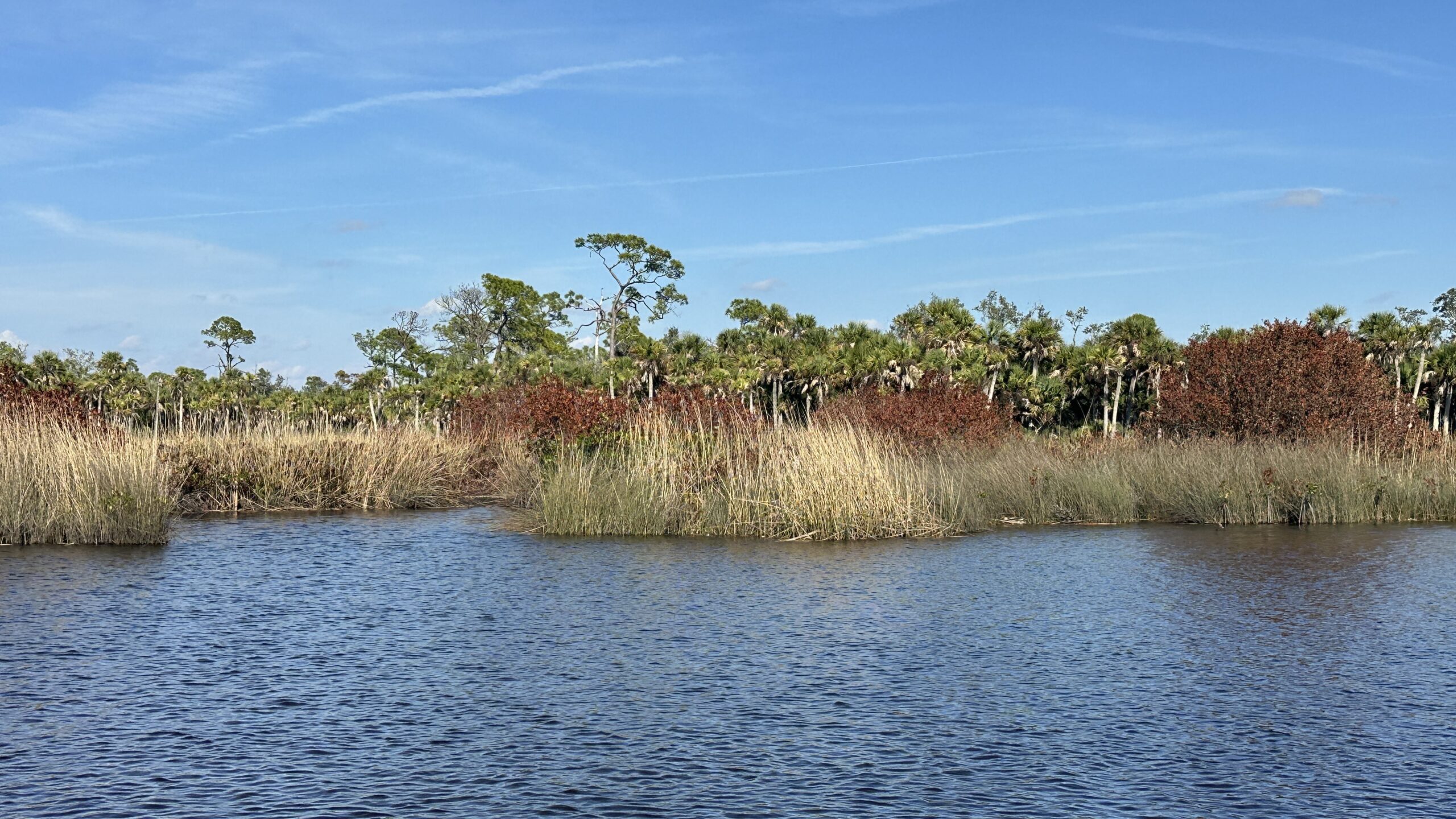 Myakka River. Boat Tour & Trip by Florida Gulf Discovery LLC