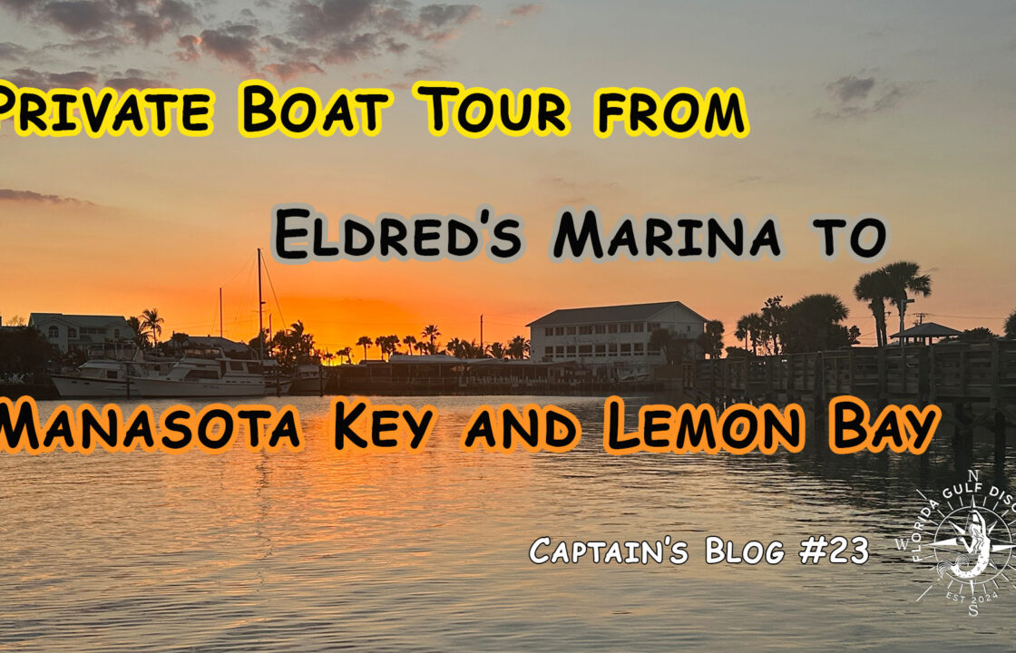 Private Boat Tour from Eldred’s Marina to Manasota Key by Florida Gulf Discovery LLC