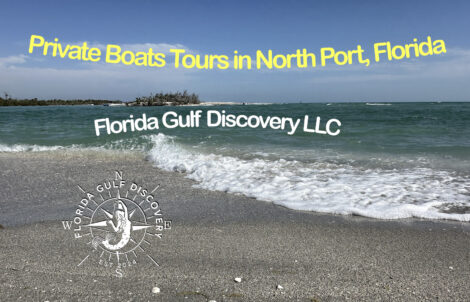 Private Boats Tours in North Port, Florida