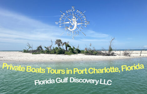 Private Boats Tours in Port Charlotte, Florida