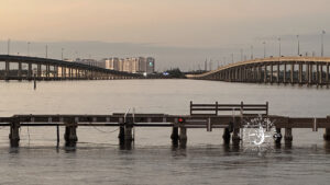 Punta Gorda, Charlotte Harbor, Florida Gulf Discovery LLC
