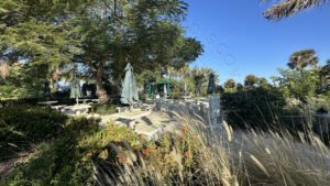 Romantic Private Boat Tours, Cabbage Key with Florida Gulf Discovery LLC