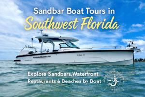 Sandbar Boat Tours in Southwest Florida, with Florida Gulf Discovery LLC