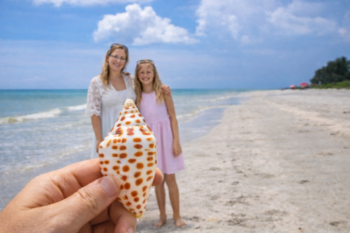 Shelling Boat Tours in Southwest Florida, on Shell Beach with Florida Gulf Discovery LLC Shelling Boat Tours in Southwest Florida, on Shell Beach with Florida Gulf Discovery LLC