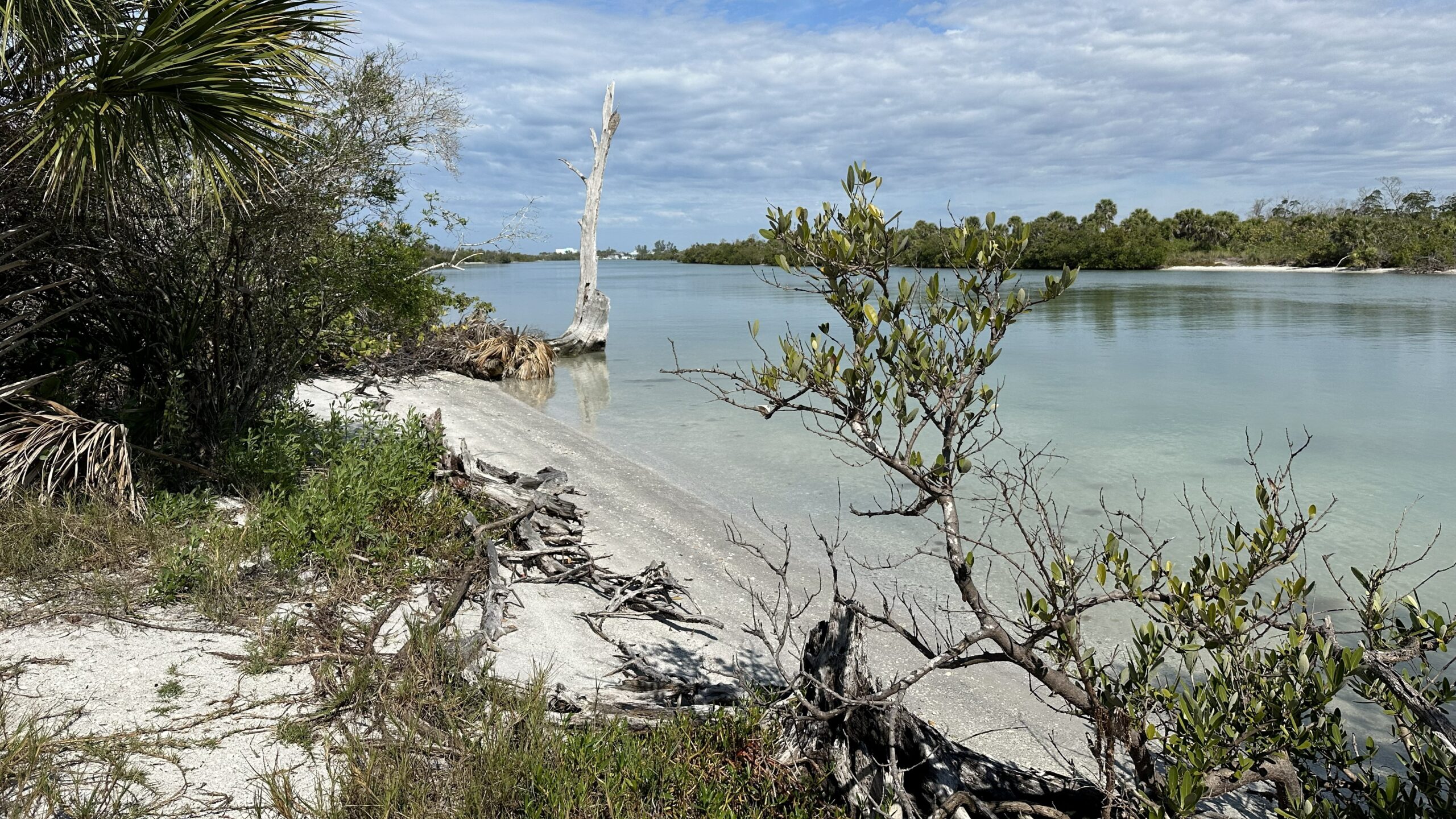 Stump Pass Beach State Park, Tree mark, by Florida Gulf Discovery LLC
