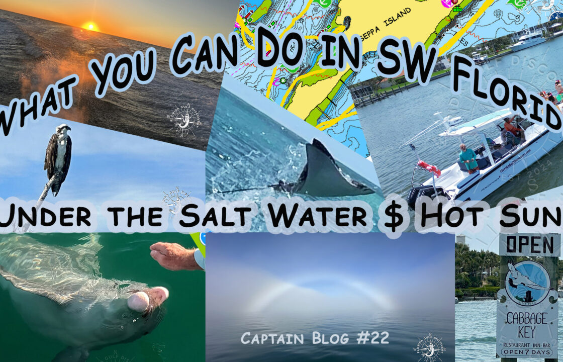 What You Can Do in Southwest Florida Under the Salt Water & Hot Sun, with Florida Gulf Discovery LLC