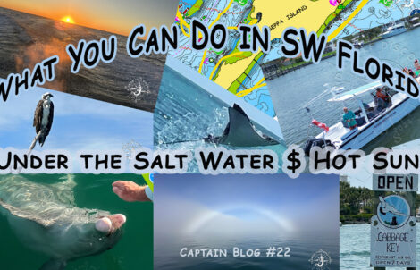 What You Can Do in Southwest Florida Under the Salt Water & Hot Sun, with Florida Gulf Discovery LLC