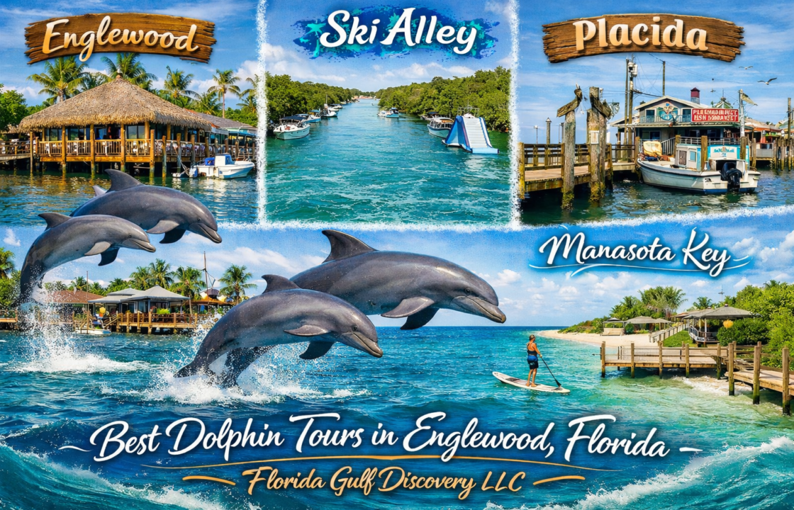 Best Dolphin Tours in Englewood with Florida Gulf Discovery LLC