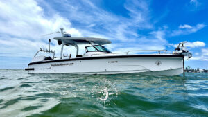 Bird Key Sandbar at Gasparilla Pass Florida Gulf Discovery Boat LLC