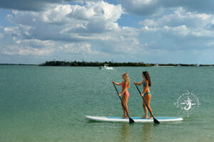 Bird Key Sandbar with Florida Gulf Discovery LLC